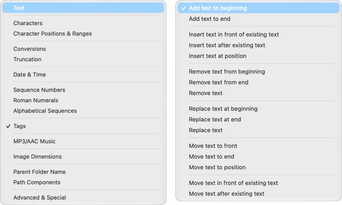 Two side-by-side dropdown menus from a file renaming utility; the left shows categories like Text, Date & Time, and Tags, while the right shows specific text actions like
