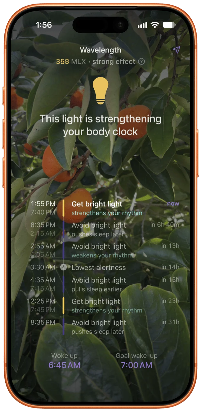 Screenshot of a phone app over citrus leaves: “Wavelength 358 MLX • strong effect”, bulb icon, “This light is strengthening your body clock”. Schedule includes times and advice; woke up 6:45 AM, goal 7:00 AM.